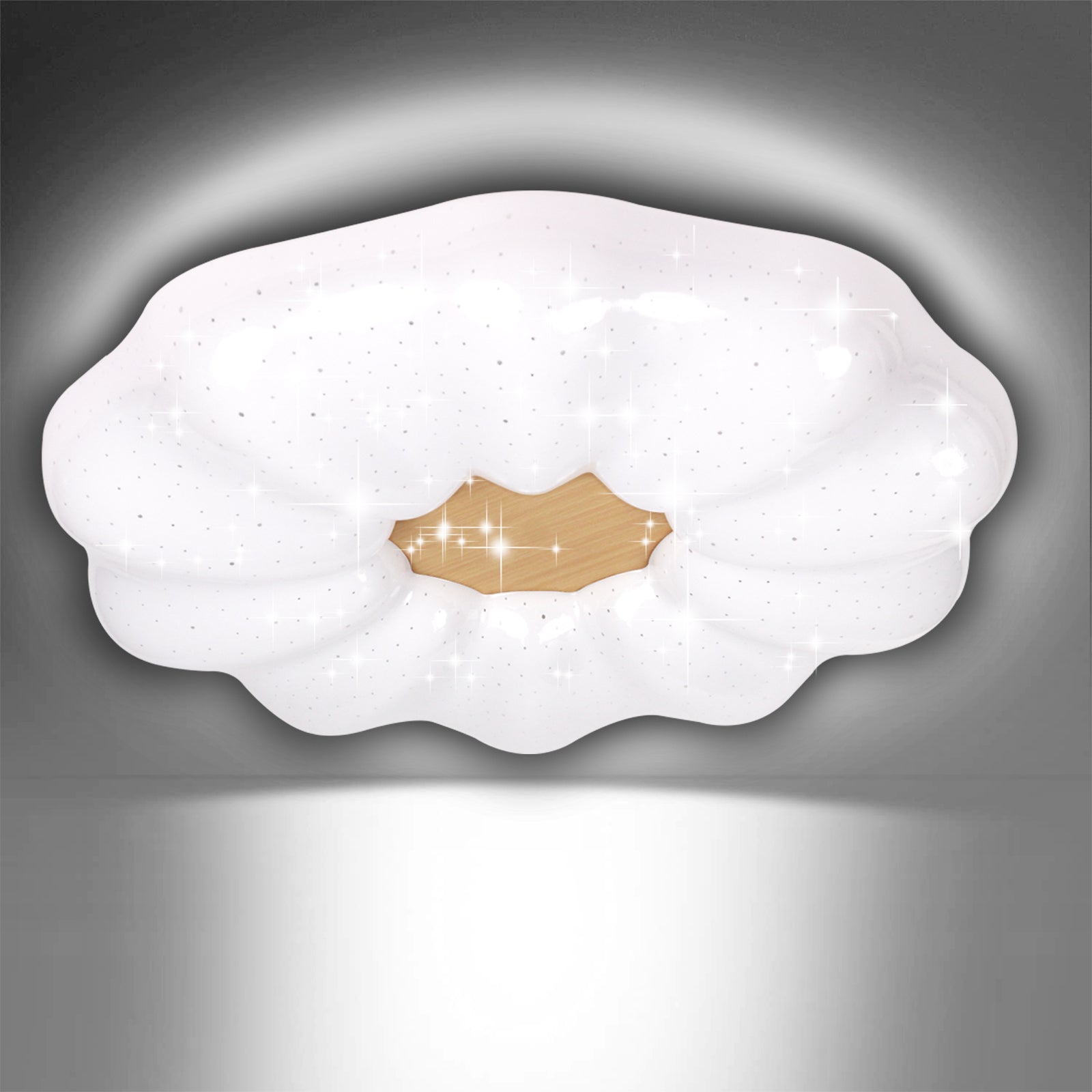 New 24W LED Ceiling Light 6500K Flower Shape